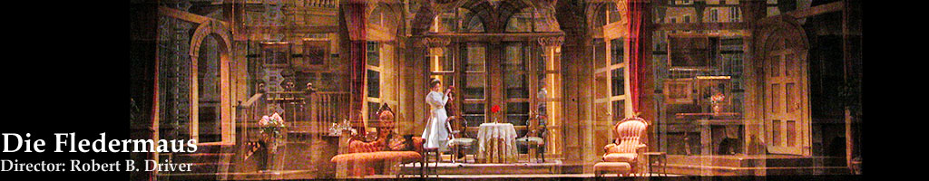 fledermaus1995_banner