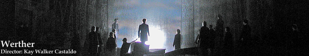 werther_banner